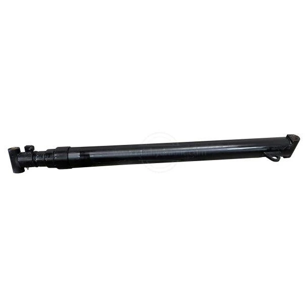 Hoist Cylinder (2)